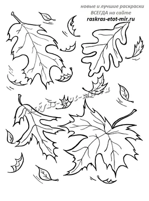 Осенние листья своими руками шаблоны - 69 фото