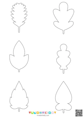 Набор символов силуэтов осенние листья. Черно-белый осенний падения набор  формы в изоляции на белый лист. Черный вектор Иллюстрация вектора -  иллюстрации насчитывающей иконы, вырез: 199267914