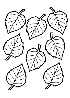 значок линии листа. эмблема \"векторные листья\". черно-белый осенний лист.  Иллюстрация вектора - иллюстрации насчитывающей природа, листья: 223603892