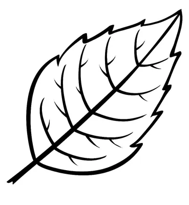 Раскраска Осенние листья арт-терапия распечатать или скачать