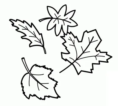 Осенние листья на черно-белой векторной иллюстрации | Премиум векторы