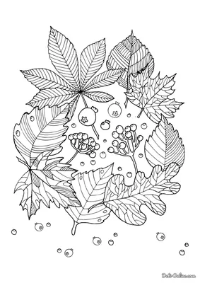 Раскраска Осенние листья с желудями распечатать или скачать