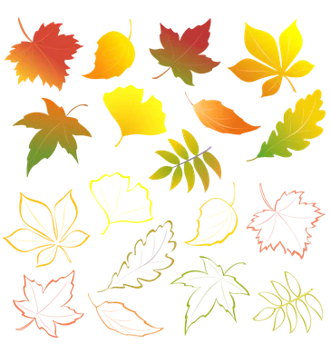 Осенние листья вафельная картинка | Магазин Домашний Пекарь