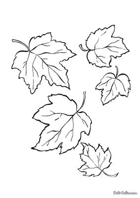 листья осенние листья, освещенные солнцем на земле Стоковое Изображение -  изображение насчитывающей померанцово, зеленый: 232577147