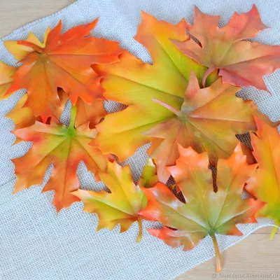 Осенние листья декоративные из ткани, 9х9,5 см, МИКС цветов, 40 шт  (ID#1246687477), цена: 60 ₴, купить на Prom.ua