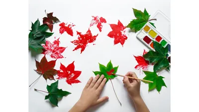 Осенние Листья Осень - Бесплатное фото на Pixabay - Pixabay