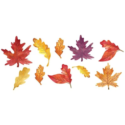 Осенние Листья Изолированные На Белом Фоне — стоковая векторная графика и  другие изображения на тему Осень - Осень, Лист, Цвет осенних листьев -  iStock