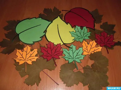 Осенние листья для оформления и танцев, сценок, размер а4, двусторонние |  скачать и распечатать