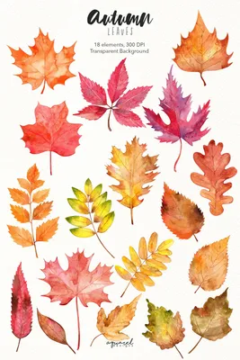 Осенние листочки из бумаги - 61 фото