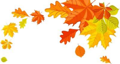 Осенние листья: интересные техники рисунка - Телеканал «О!»