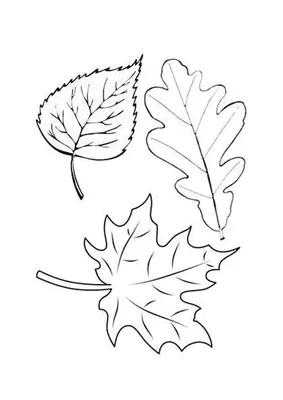 Баннер-комплект Осенние листья 10шт - Волшебный город