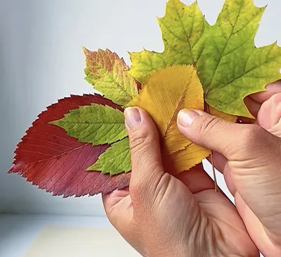 Осенние листья падают оставляют кленовый лист на деревянные естественный  цвет фона падения текстур Стоковое Фото - изображение насчитывающей  деревянно, желтый: 197103650