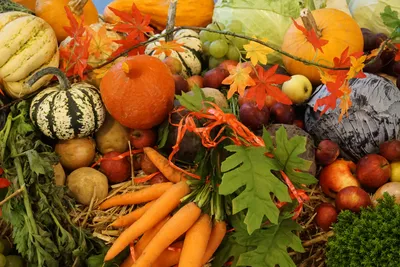 Осенние овощи и фрукты картинки