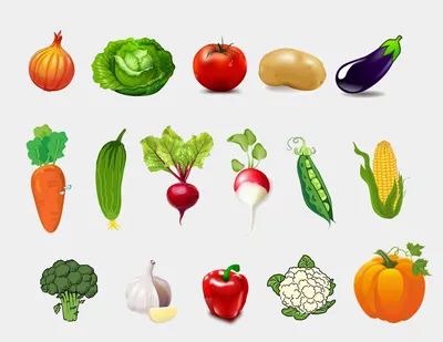 Что есть осенью: 10 полезных фруктов, овощей и корнеплодов | Ганцавіцкі час