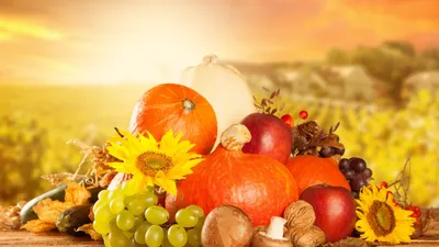Самые полезные фрукты и овощи Армении: топ-10 осенних плодов