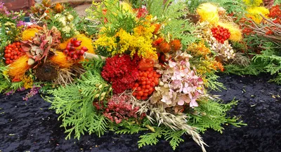 Осенние цветы декор, кремовые розы с осенними ягодами Стоковое Изображение  - изображение насчитывающей корзины, листья: 157345851