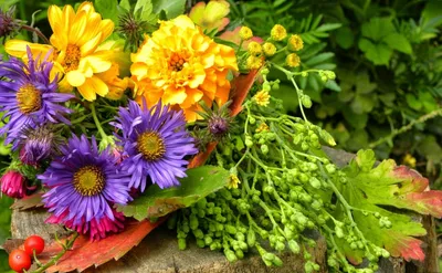 Какие цветы дарить осенью | Блог Цветок Короля Артура