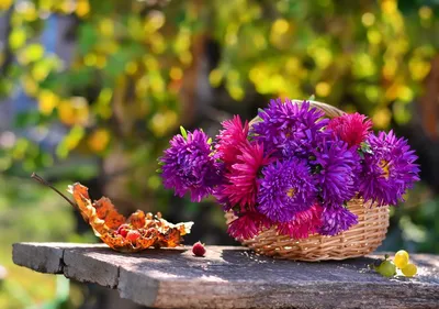 Осенние цветы из гофрированной бумаги/DIY - YouTube