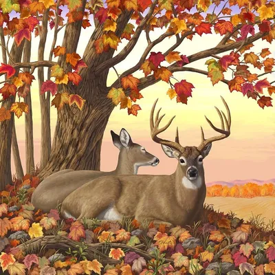 Осенний пейзаж с животными - 61 фото