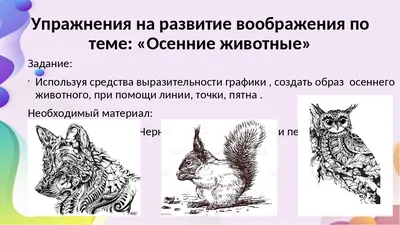 Милые рисунки животных Нины Штайнер - Demiart