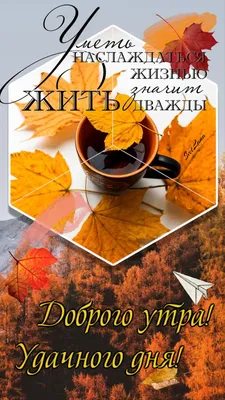 Доброго осеннего утра! | Счастливые картинки, Доброе утро, Благодарные  цитаты