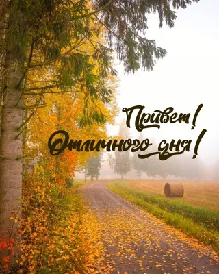 Осенний привет\" | Новости | Живой Ангарск | LiveAngarsk.ru