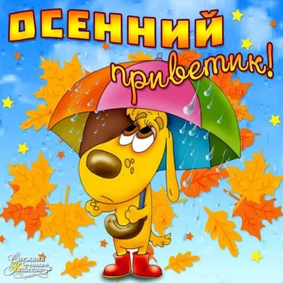 Открытки сентябрь сентябрьский приветик...