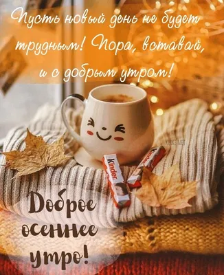 🎀 ОлУ Доброе утро! И снова утро…» — создано в Шедевруме