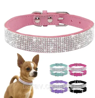 Ошейник для собак Red Dingo ярко-розовый Plain 31-47 см, 20 мм | M купить в  интернет-магазине Зоомагазин Pardi.ru всего за 1 016 руб.