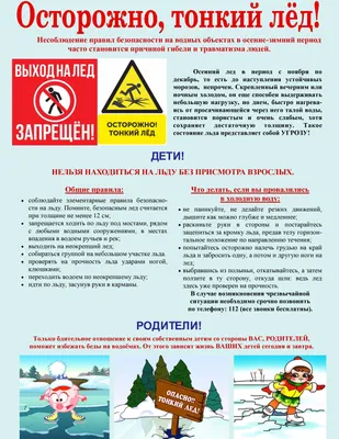Осторожно, тонкий лёд! - Санкт-Петербургское государственное бюджетное  профессиональное образовательное учреждение «Лицей сервиса и индустриальных  технологий»