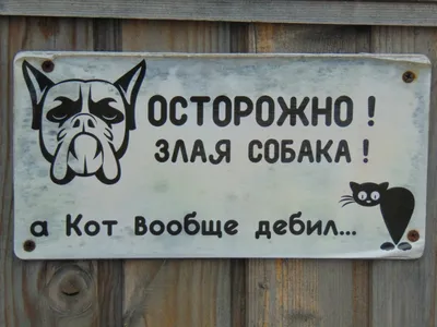 осторожно злая собака а кот вообще зверь｜Búsqueda de TikTok