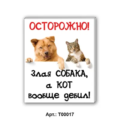 Собаки vs Коты | Пикабу