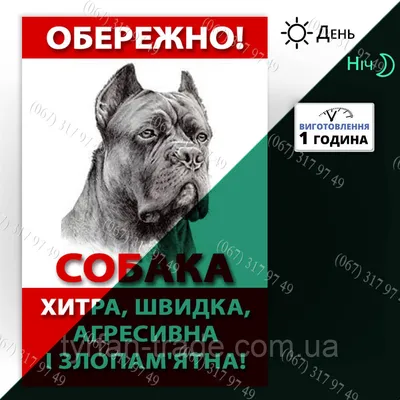 Осторожно Злая Собака А Кот – купить таблички для интерьера на OZON по  выгодным ценам