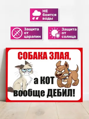Табличка \"Собака злая, кот ....\", 27х20 см, ПВХ, 27 см, 20 см - купить в  интернет-магазине OZON по выгодной цене (1270933805)