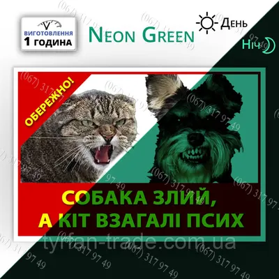 Табличка\"Осторожно злая собака! в Нижнем Новгороде