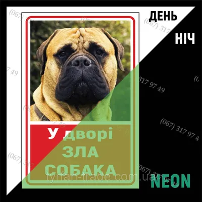 Табличка 'осторожно злая собака' – купить в Пензе, цена 100 руб., продано  28 октября 2019 – Оформление интерьера