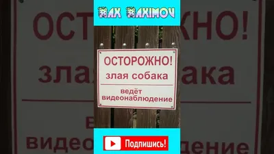 Осторожно злая собака на забор ворота Табличка из металла неоновая светится  в темноте -фото любая порода собак купить по доступной цене в  интернет-магазине «Турфан-Трейд»