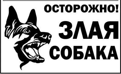 Табличка \"Осторожно! злая собака\" 25*15см – купить табличка \"Осторожно! злая  собака\" 25*15см в Переславле-Залесском
