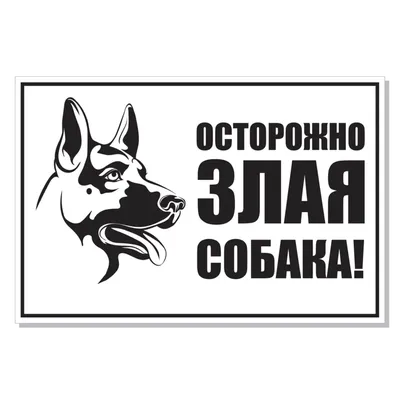 Табличка \"Осторожно злая собака\" ( 24*16 см): продажа, цена в Слониме.  Готовые информационные таблички и вывески от \"Рекламное агентство \"Корекс\"\"  - 114946176