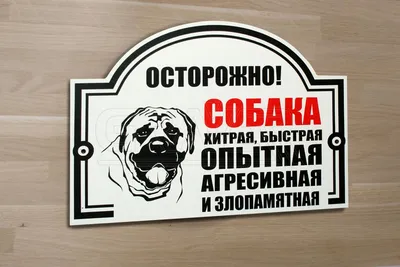 Табличка Осторожно! Злая Собака по цене 193 ₽, купить в зоомагазине  АстВетМаркет