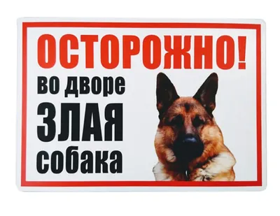 Табличка, осторожно злая собака, прикол, на дверь, на забор, 18 см, 25 см -  купить в интернет-магазине OZON по выгодной цене (826897783)