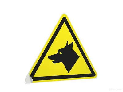 Осторожно, злая собака | Пикабу