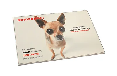 Знак самоклеющийся \"Осторожно. Злая собака\" - цена 47 р. купить в  интернет-магазине Магазин строительных материалов Сегна