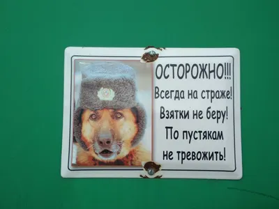 Табличка осторожно злая собака: шаблоны, примеры макетов и дизайна, фото
