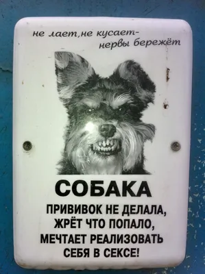 Знак, наклейка \" Осторожно злая собака \", 150х150 мм, комплект из 5 шт. —  купить в интернет-магазине по низкой цене на Яндекс Маркете