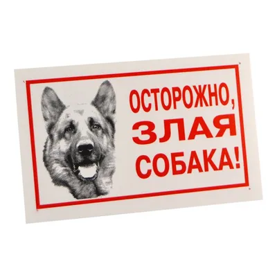 Табличка, осторожно злая собака - распечатать - Tozpat.ru | Знаки для  комнат, Собаки, Печатный плакат