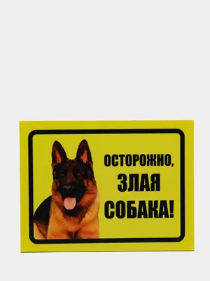 Табличка \"Осторожно злая собака!\"