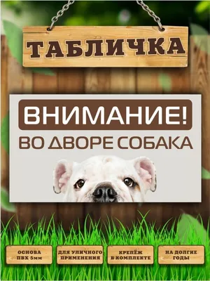 Табличка \"Осторожно злая собака\": фото, картинки, шаблон, виды, дизайн,  макет