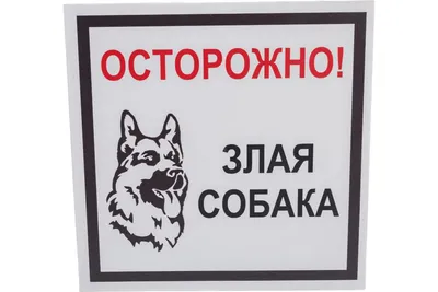 Табличка Осторожно злая собака, а кот вообще псих / табличка / таблички на  дверь / прикольные подарки / сувениры и подарки / таблички информационные —  купить в интернет-магазине по низкой цене на Яндекс Маркете