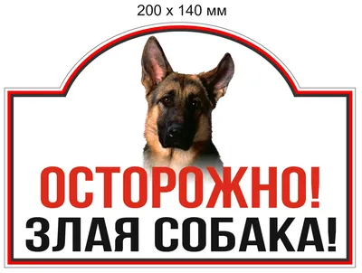 Табличка, Осторожно злая собака, Прикол Злая собака 110471612 купить в  интернет-магазине Wildberries